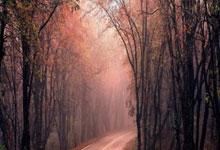 开云体育APP下载-水晶宫雷霆万钧斩落劲敌!保级之路豁然开朗