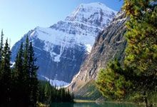 开云体育app-尼克斯鏖战掘金,麦科勒姆刷新纪录