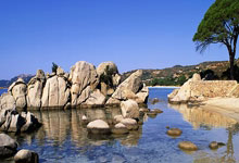 开云体育在线-安菲尔德奇迹之夜！红军主场碾压对手，英超王座触手可及