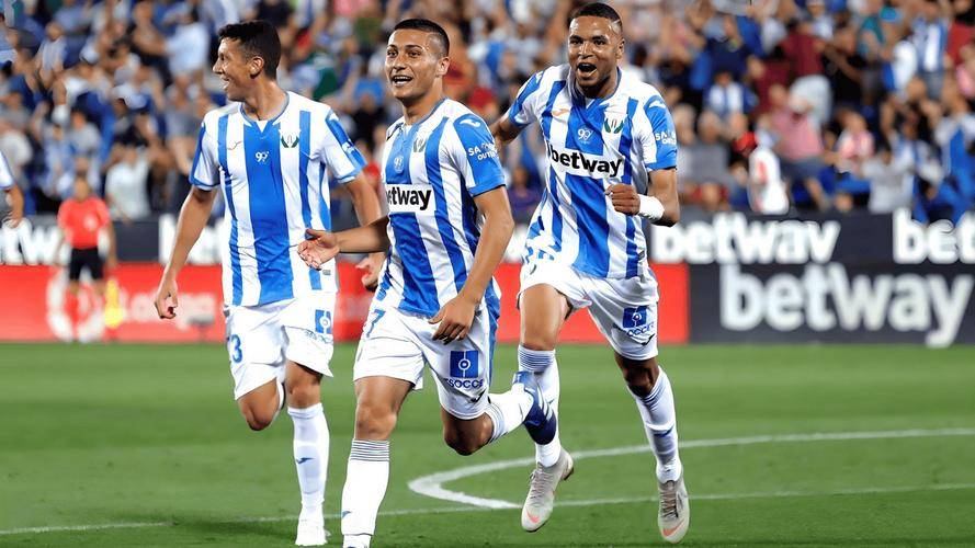 开云体育登录-莱加内斯实力出众,赢得球迷掌声的简单介绍