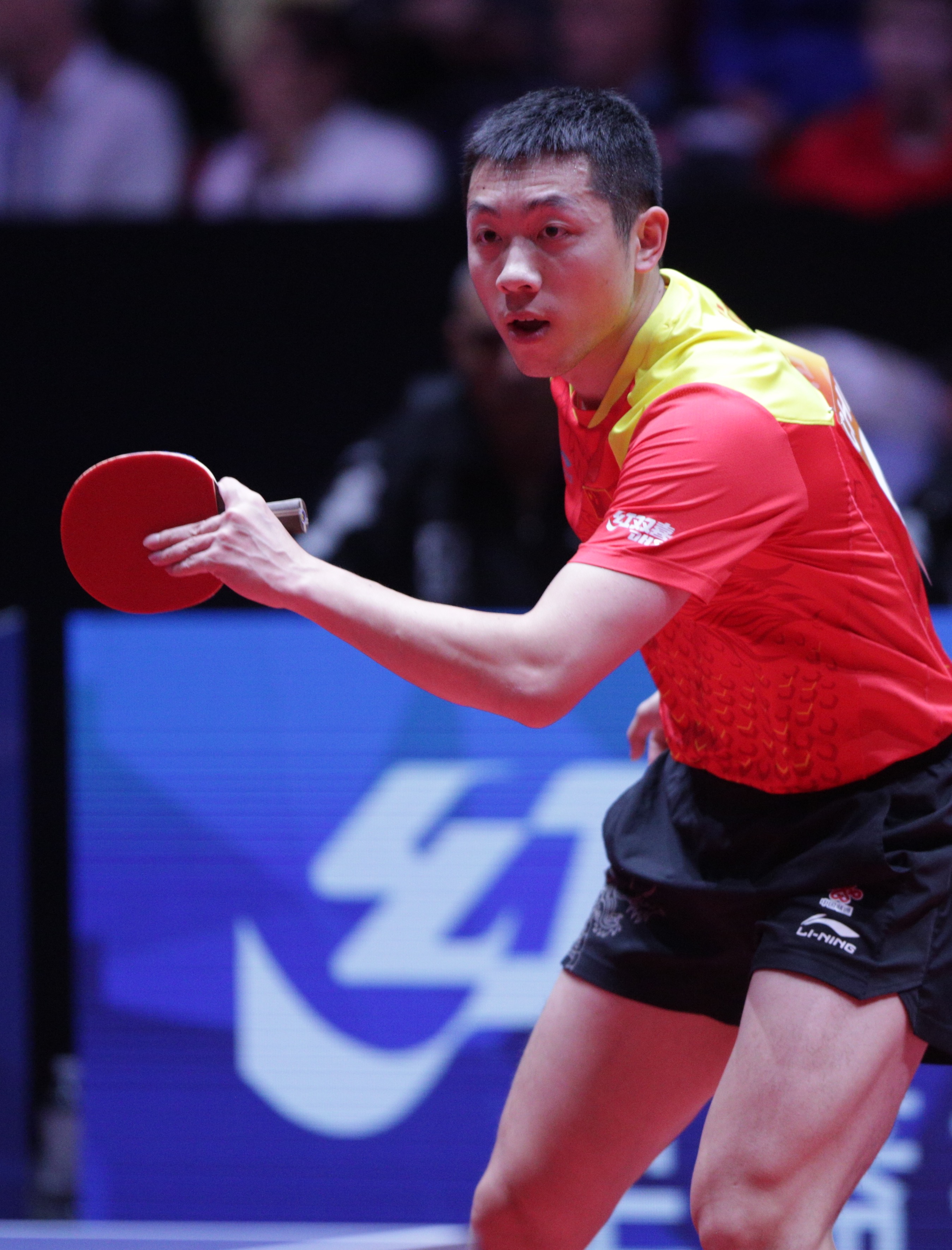 关于德国乒乓球队爆冷奥地利乒乓球队,许昕打破历史纪录的信息 关于德国乒乓球队爆冷奥地利乒乓球队,许昕打破历史纪录的信息