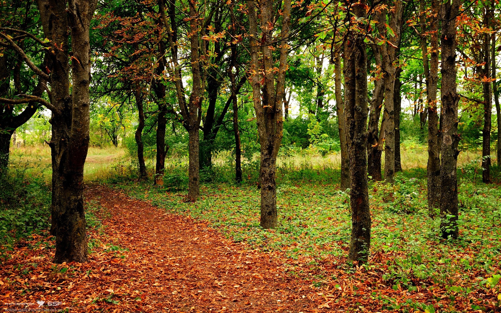 两个赛场，一夜成王，当霍勒迪接管欧冠，北京鏖战麦迪逊