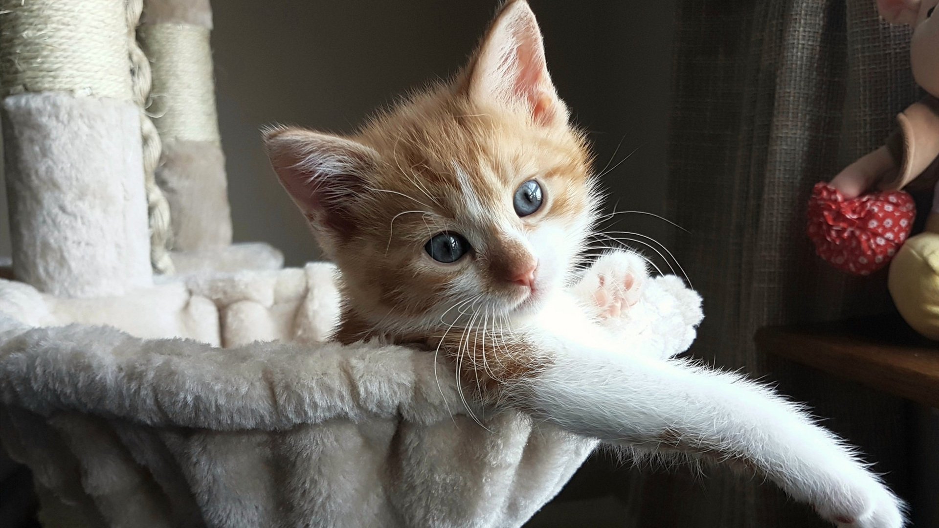 战术压制，热火在NBA总决赛焦点战中完胜开拓者