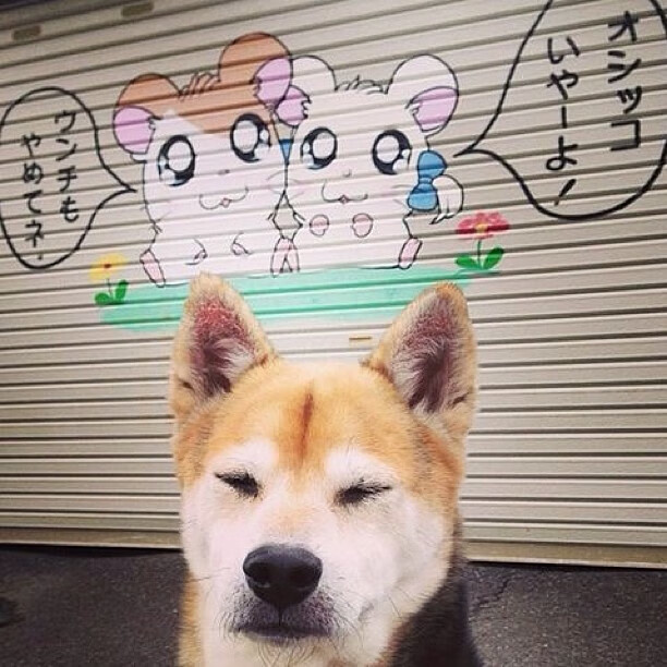 利拉德惊天绝杀！广厦队跨洋挑战险胜篮网