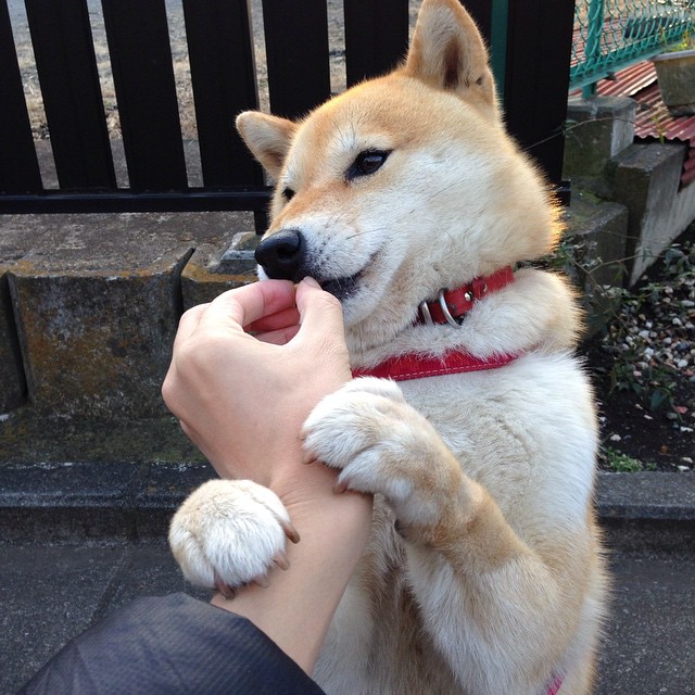 冷门与传奇，当南非绝杀震动世界，贝林厄姆已在北美写下新章