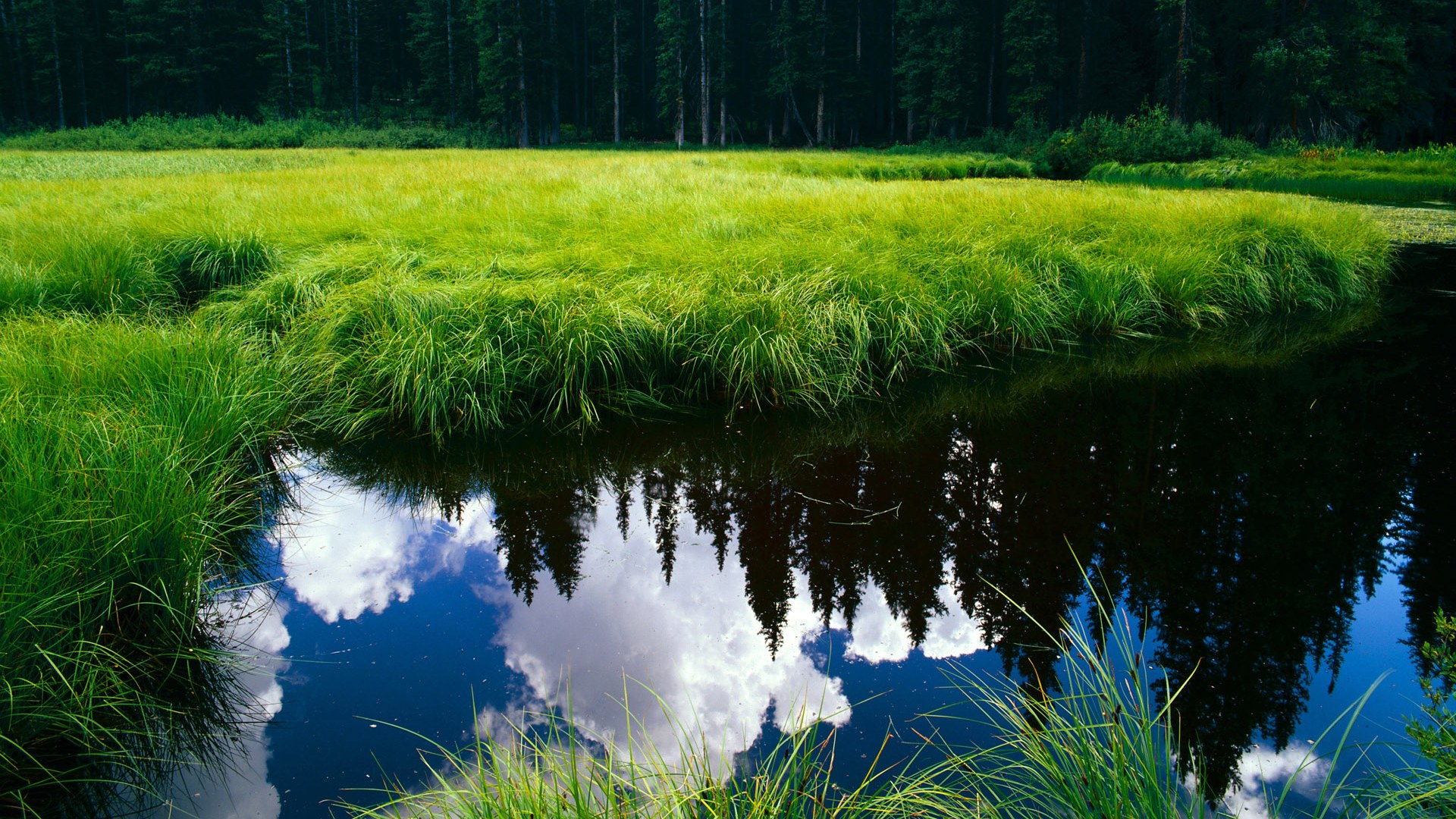 开云体育登录-里昂全面压制塞维利亚，罗德里戈在世界排名争夺战中接管比赛