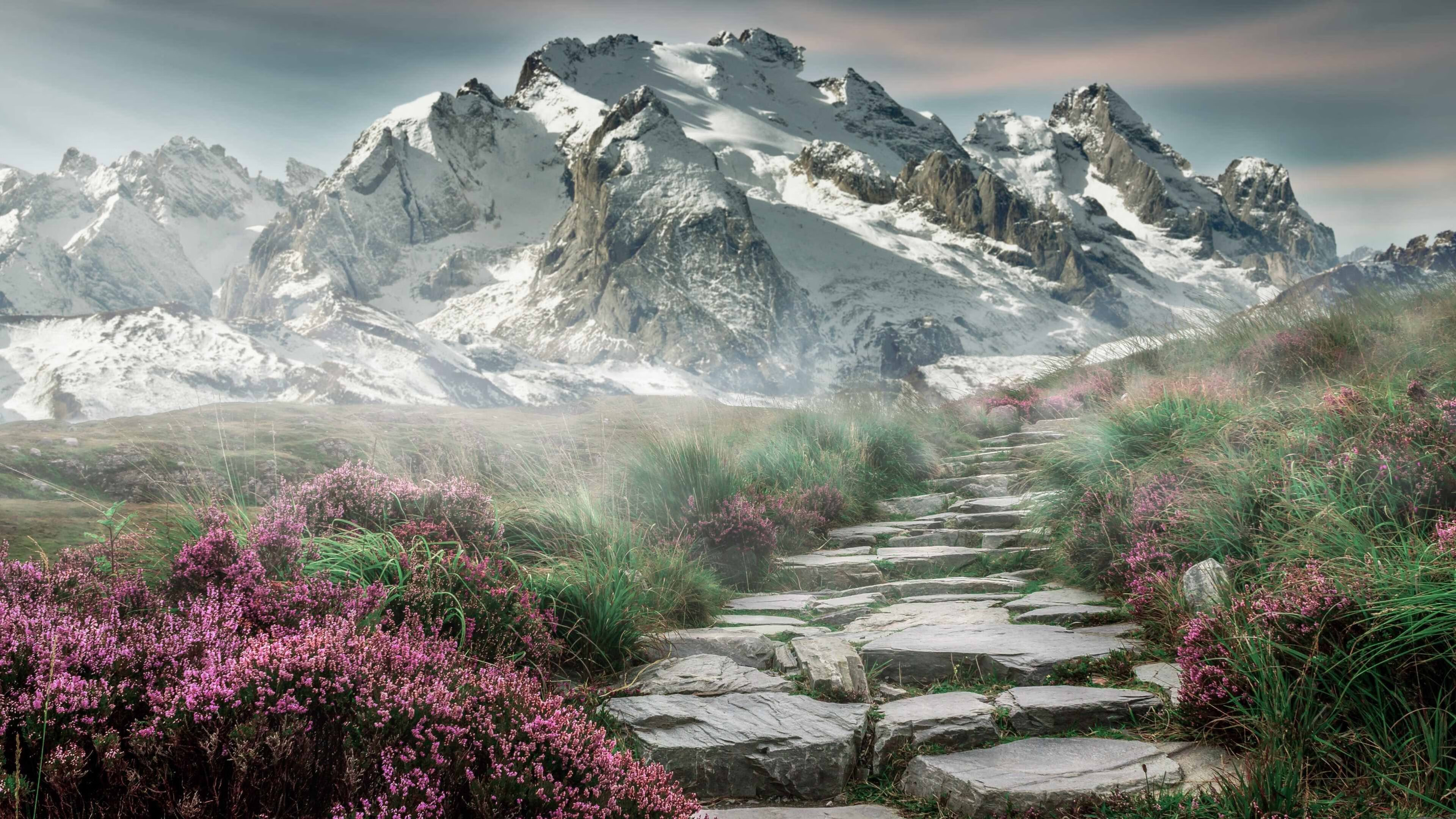 欧冠夜与篮下烈焰，当维尼修斯遇见杰伦·格林，听见竞技精神共鸣的双城记