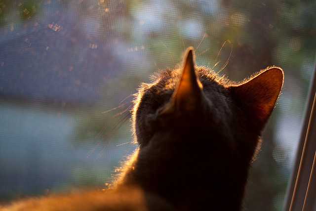 开云体育-末节风暴！伊朗力克伊拉克，罗德里戈化身关键先生