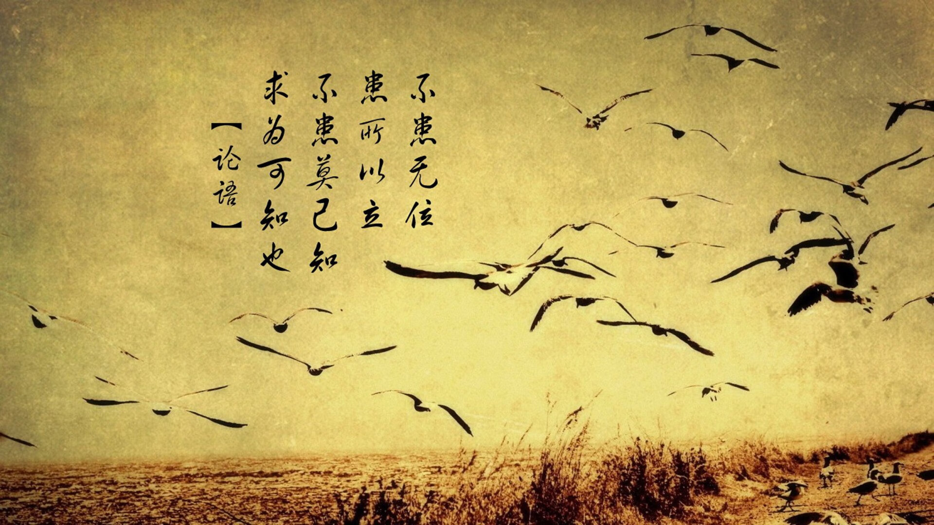 开云体育在线-爆裂之夜，世界杯聚焦下火箭疯狂屠鹿的竞技启示