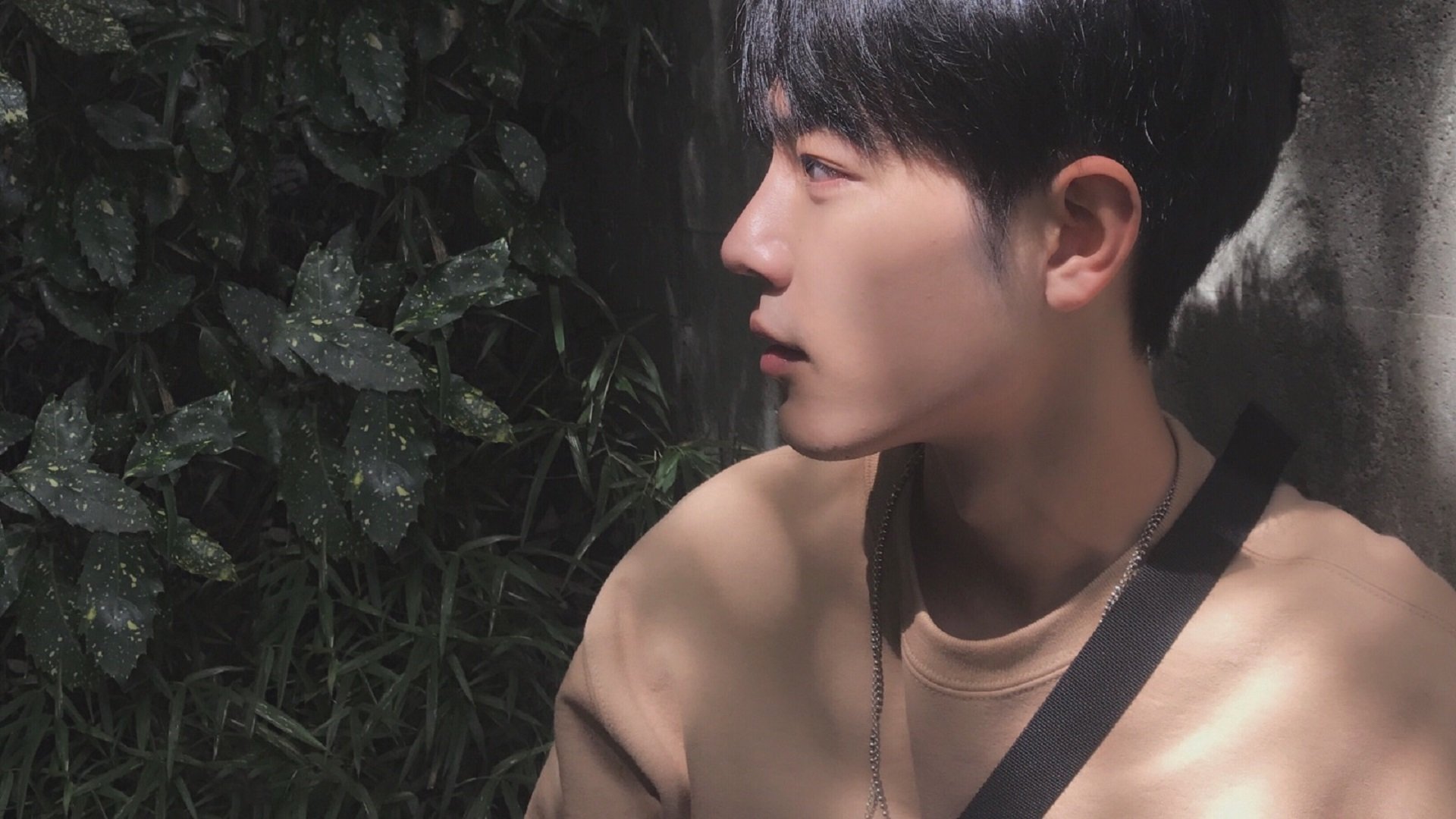 开云体育-拉文暴走39分撕裂防线，猛龙窒息节奏绞杀绿军