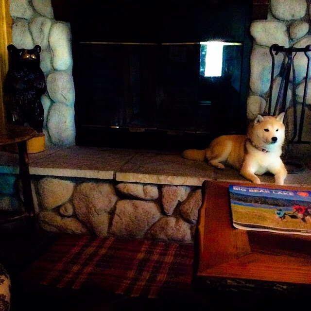 塔图姆跨洋爆发！雷霆轻取深圳，中美篮球碰撞展现差异与共鸣