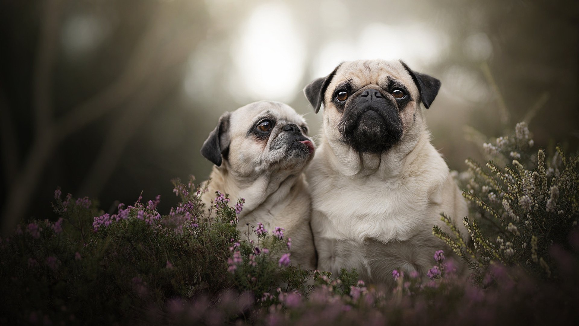 开云体育下载-死神镰刀与南海岸烈焰，当伦纳德挥起沉默利剑，热火灼尽最后悬念