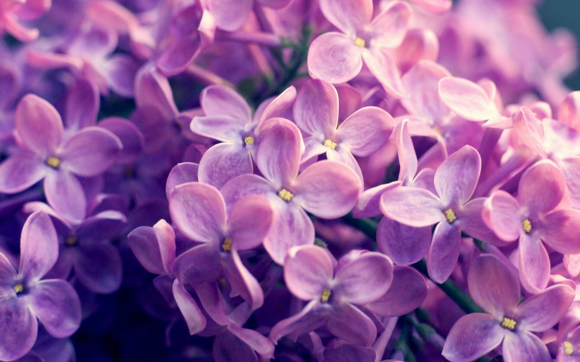 孤胆英雄与战术铁幕，利拉德扛鼎与雷霆制胜的篮球双面镜